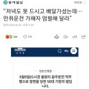 (피해자 딸 배달의 민족 답변 사진 유첨) “저녁도 못 드시고 배달가셨는데…만취운전 가해자 엄벌해 달라” 이미지