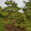 구암동387 이미지