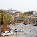 방축천9 어진1교 아래 | 세종시 봄꽃 여행 초려역사공원 매화