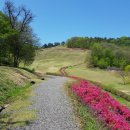 입점리_고분전시관 이미지