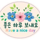 비오네손칼국수 이미지