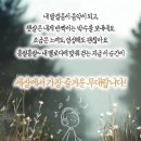 돼지방 Daum카페