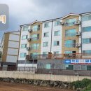 동일리-6 이미지