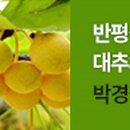 박경철농장 이미지