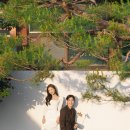 루브스튜디오