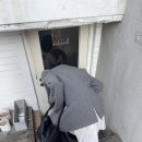 파츄코파라다이스 이미지
