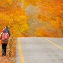 가을여행 이미지