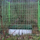 임피남산 약수터 이미지