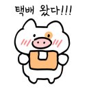 스타지엔