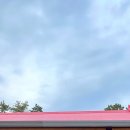 강릉초이 이미지