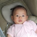 3177 | 생후 105일차_조이 파르셀LX-샌드스톤 휴대용유모차 내돈내산 후기