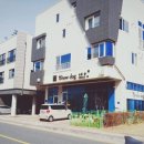 쇼독(Show dog) 이미지