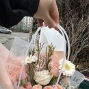 도매스토리 | 꽃 도매도 겸하고 있는 강동구꽃집 [현림플라워앤데코]