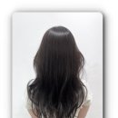 살롱드201