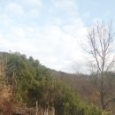 동산다방 이미지
