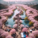 진해공설운동장 축구장 | 2025 진해 군항제 벚꽃 축제 완전 정복! 일정, 프로그램, 명소 총정리
