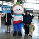 보보 이미지