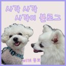 돈돈정판교아브뉴프랑점 이미지