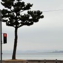 구룡상회 이미지