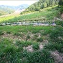 내곡농장 이미지