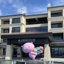 신협_하 | 신협제주연수원;)) 디럭스 패밀리 마운틴뷰, 스탠다드 트윈 오션뷰 이용후기🪽🍊