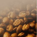 BLACK COFFEE(블랙커피) Daum카페