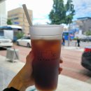 (주) 보이드소프트 | [애견 동반 카페] 신설동 온더써드, 숙녀 시바 초롱이 만나다