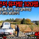 고흥바다하우스 이미지