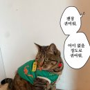 더빌리지샵 이미지