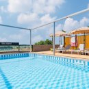 안녕비토 이미지