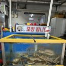 미란이네식당