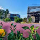 느링느링스테이 이미지