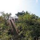 솔숲과 바다 이미지