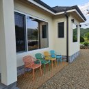 풀돌나무 이미지