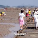 함평 돌머리해수욕장....개펄체험하세요~~(사진첨부) 이미지