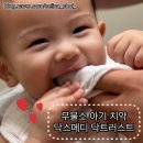 이도메디 | 아기 양치질 시켜주기! 닥스메디 닥트러스트 프로엔프리 무불소 아기 치약 사용 후기