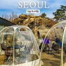 서울 종로 &#39;더숲 초소책방&#39; 후기, 가는법 주차 강아지동반