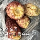 딸부잣집 | 찐옥수수 거리가 된 화순 도곡 [딸부잣집] 후기