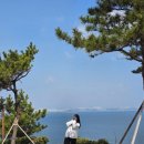포항 가볼만한곳 산책하기 좋은 연오랑세오녀 테마파크