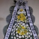 마곡꽃과나무 네이버블로그