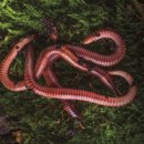 남성 주유소 이미지