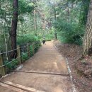 조례호수공원 이미지