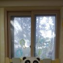 시립구문천어린이집 이미지