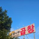 은행나무곱창 | 과천맛집 경마공원 맛집 "은행나무곱창" 내돈내산 솔직후기 주차, 예약 등