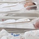 Y 산후조리원 이미지