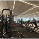 탑핏 피티스튜디오 이미지