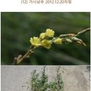 서울오금초등학교 운영위원회 임시회 및 생태환경 교육 이미지