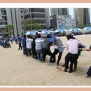 기지초교 이미지