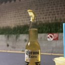비틀스타코 이미지