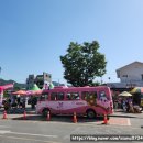 김성환농장 | 곡성 세계장미축제 기차마을 다녀온 후기